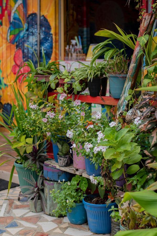 Hostal Liliana Buenaventura Εξωτερικό φωτογραφία